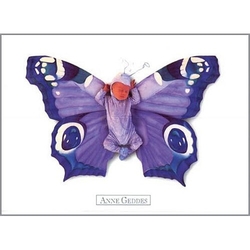 Pohlednice Anne Geddes - fialový motýl
