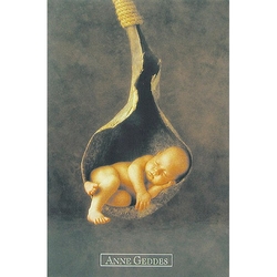 Pohlednice Anne Geddes - miminko ve skořápce