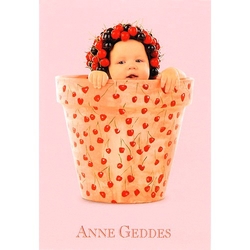 BLAHOPŘÁNÍ Anne Geddes třešňový květináč