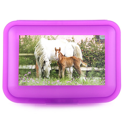 Svačinový box HORSES DREAMS fialový transparent